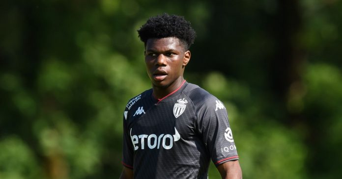 Manchester United are not interested in new defensive midfielders and other transfer rumors

